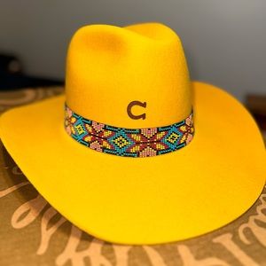 Charlie horse hat